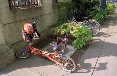 image39.jpg